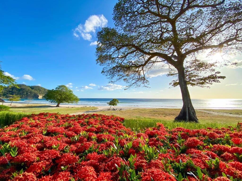 Mukul Resort Tola Ngoại thất bức ảnh